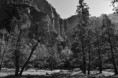 /album/yosemite-national-park1/yosemite-nikon-354-jpg/
